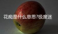 花癡是什么意思?極度迷戀某個異性(做出異常舉動)