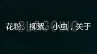 花粉、柳絮、小蟲，關(guān)于春天的冷知識了解一下