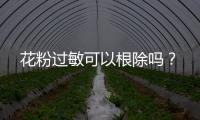 花粉過敏可以根除嗎？