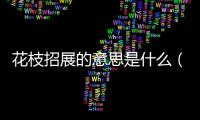 花枝招展的意思是什么（花枝招展招的意思）