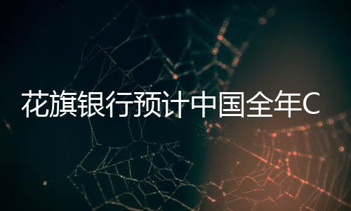 花旗銀行預計中國全年CPI為4.6%