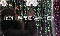 花旗：料布油明年下試60美元