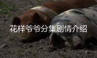 花樣爺爺分集劇情介紹