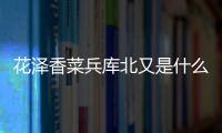 花澤香菜兵庫北又是什么梗?