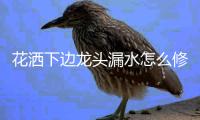 花灑下邊龍頭漏水怎么修？水龍頭漏水的拆卸與維修方法
