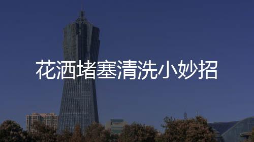 花灑堵塞清洗小妙招