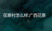 花寨村怎么樣:廣西花寨