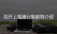 花開上海灘分集劇情介紹
