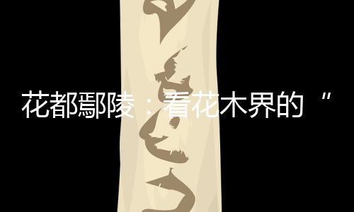 花都鄢陵：看花木界的“奧林匹克”