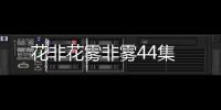 花非花霧非霧44集
