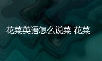 花菜英語怎么說菜 花菜英語怎么說