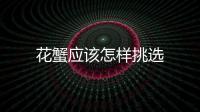 花蟹應該怎樣挑選
