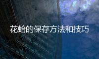 花蛤的保存方法和技巧