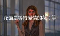 花語是等待愛情的花（等不到的愛是什么花語）