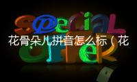花骨朵兒拼音怎么標（花骨朵兒拼音）