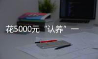 花5000元“認養”一頭黑豬就“返利”？警惕新型傳銷