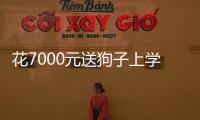 花7000元送狗子上學，結果……