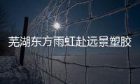 蕪湖東方雨虹赴遠(yuǎn)景塑膠開展質(zhì)量提升交流活動