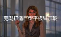 蕪湖打造巨型平板顯示玻璃基板生產基地,企業新聞