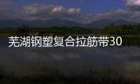 蕪湖鋼塑復(fù)合拉筋帶30020C廠家電話