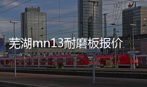 蕪湖mn13耐磨板報價