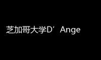 芝加哥大學D’Angelo Law圖書館更新工程獲AIA芝加哥獎