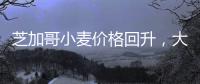 芝加哥小麥價格回升，大豆和玉米延續(xù)反彈