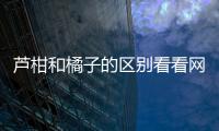 蘆柑和橘子的區(qū)別看看網(wǎng)友是怎么說(shuō)的！