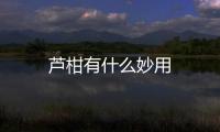 蘆柑有什么妙用