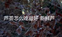蘆薈怎么吃最好 新鮮蘆薈的正確用法