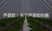 蘆薈膠（關(guān)于蘆薈膠的基本情況說明介紹）