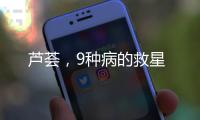 蘆薈，9種病的救星