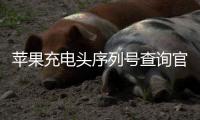 蘋果充電頭序列號查詢官網入口？（蘋果官網查序列號入口）