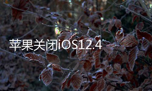 蘋果關閉iOS12.4驗證通道為iOS13正式版準備