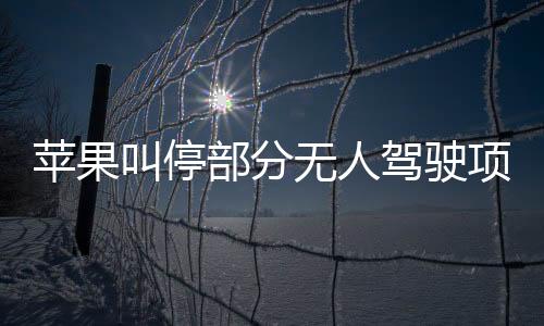 蘋果叫停部分無人駕駛項目 裁員數十人