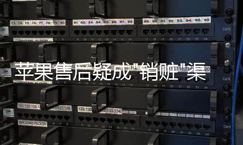 蘋果售后疑成