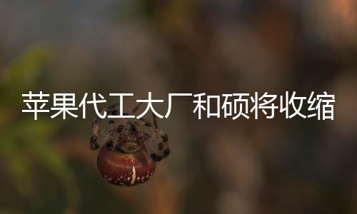 蘋果代工大廠和碩將收縮印度業務，塔塔集團或將接手