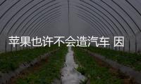 蘋果也許不會(huì)造汽車 因?yàn)橘u車掙的太少