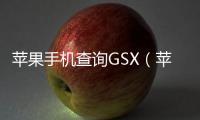 蘋果手機查詢GSX（蘋果手機gsx在哪里查）