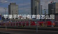 蘋果手機(jī)沒有聲音怎么回事,但是插耳機(jī)可以聽見