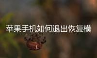 蘋果手機如何退出恢復模式直接就能開機