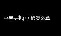 蘋果手機(jī)pin碼怎么查（手機(jī)pin碼怎么查）