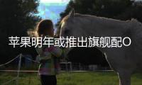 蘋果明年或推出旗艦配OLED螢幕你的腎還好嗎