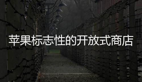 蘋果標志性的開放式商店設計可能會在時尚方面得分
