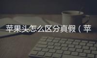 蘋果頭怎么區分真假（蘋果頭怎么扎圖解）