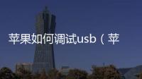 蘋果如何調試usb（蘋果usb調試在哪里）