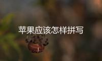 蘋果應該怎樣拼寫