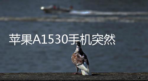 蘋果A1530手機(jī)突然黑屏打不開怎么辦