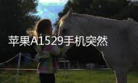 蘋果A1529手機突然黑屏打不開怎么辦