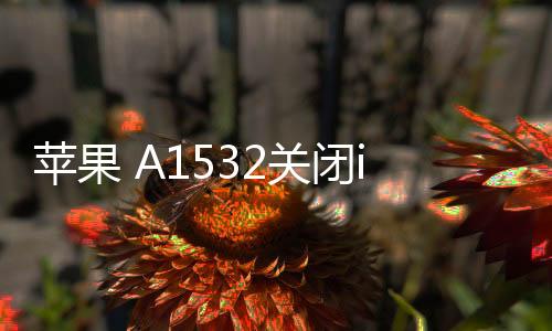 蘋果 A1532關閉iOS16.6.1，無法降級
